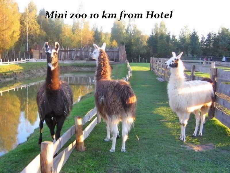 Hotel Pajurio Vieskelis Klaipėda Buitenkant foto